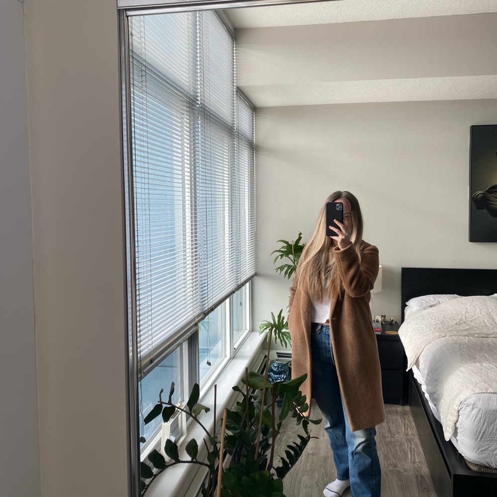 Aritzia Babaton Stedmam Coat - Size XS